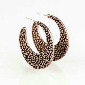 Bronze hoop earrings